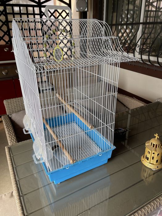 Colivie pasari cu toate accesoriile !