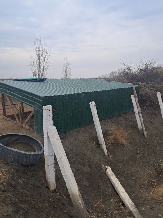 Tovuq uchun katak sotiladi