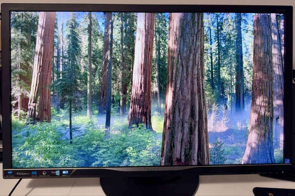 Monitor 32 inch, 4k, 10-bit (1 mld. culori)