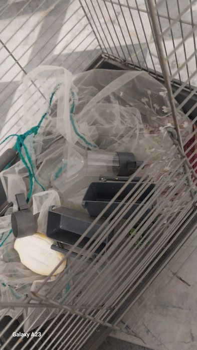 Клетка для попугая