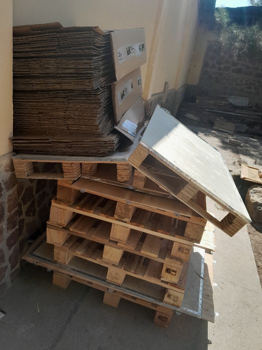 Paddon bor yangi narxi 50 000 dan