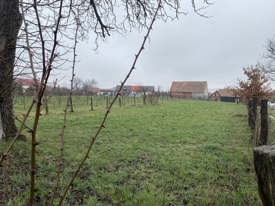 Vand teren intravilan Comana de Jos jud Brasov