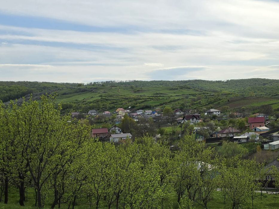 Teren intravilan 3200 mp Comuna Horlesti