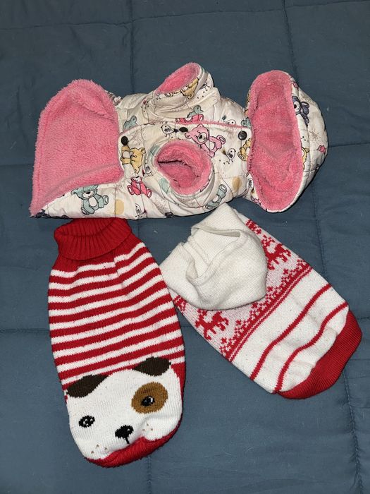 Дрехи за домашен любимец S-M