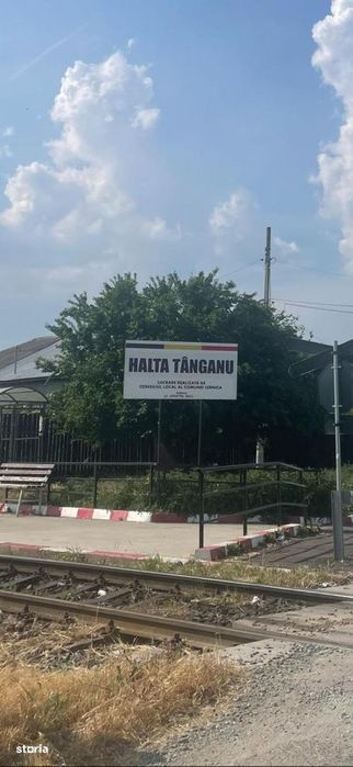 Vanzare teren intravilan Cernica_Tânganu, lot 954mp