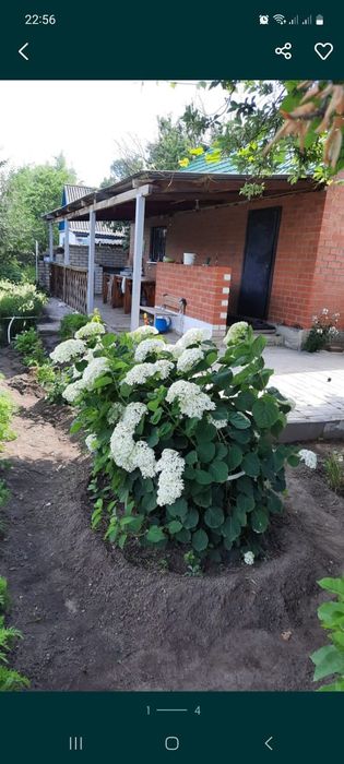 Продам дачу старый ипподром Келешек