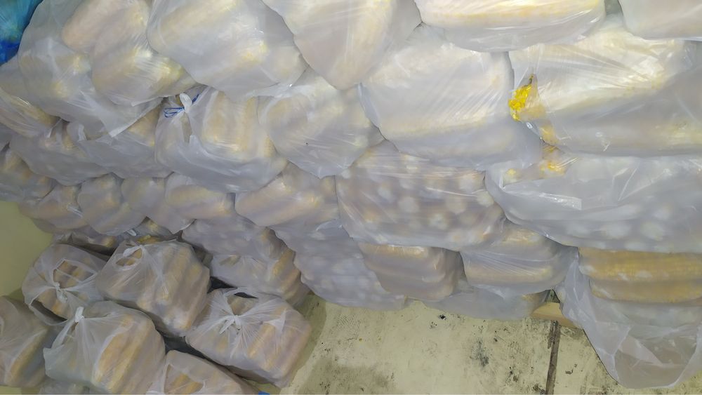 Joxori. макке .megaton .сладкая кукуруз . жухори