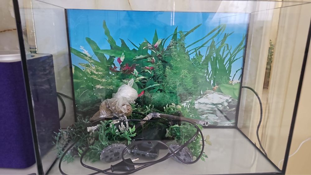 Аквариум продается