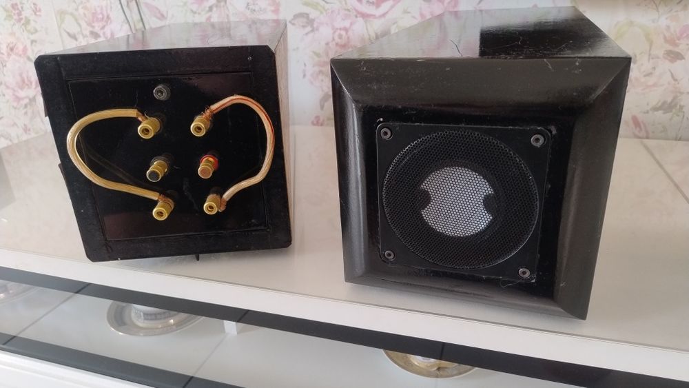Accuton C220-T6 woofer + Sateliti