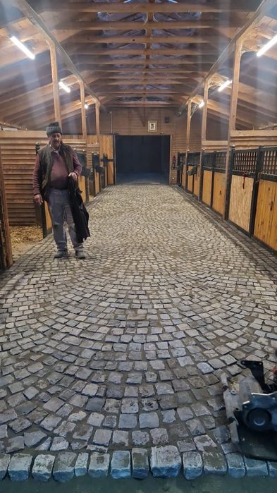 Piatra  cubica  pavaje