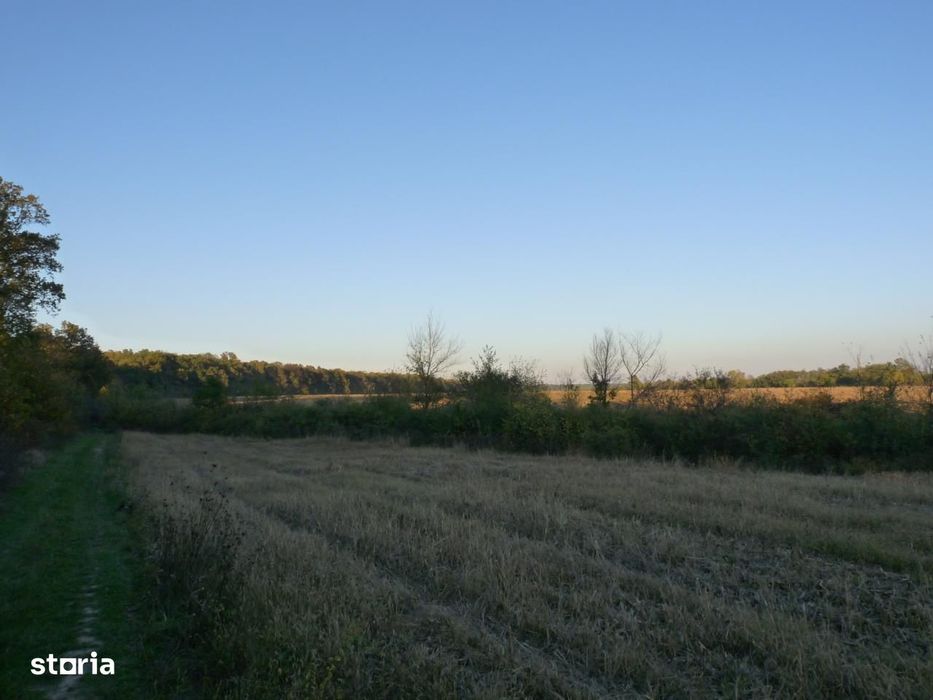 Inchiriere/vanzare 1800-25.000 euro/ha,90ha Contesti direct proprietar