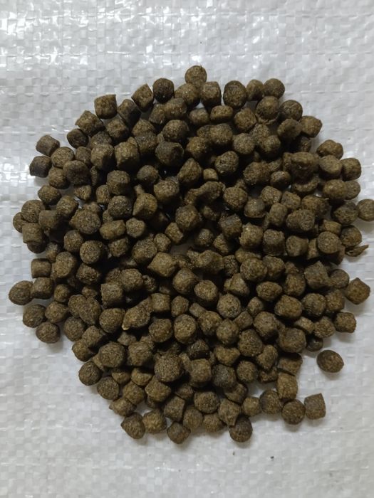 Корм для  рыб форель, карповые, осётр