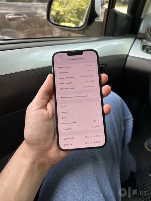 iPhone 13 Pro Max ideal