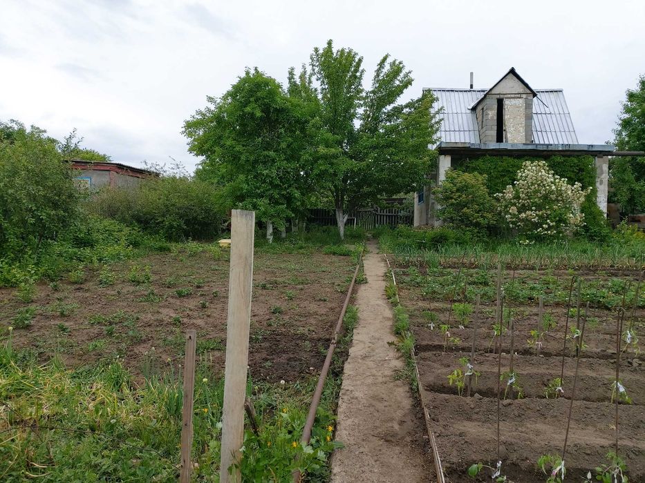 Дача, общество Природа