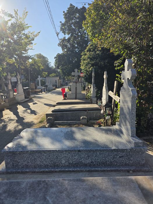 Vand loc de veci, Cimitir Bellu !