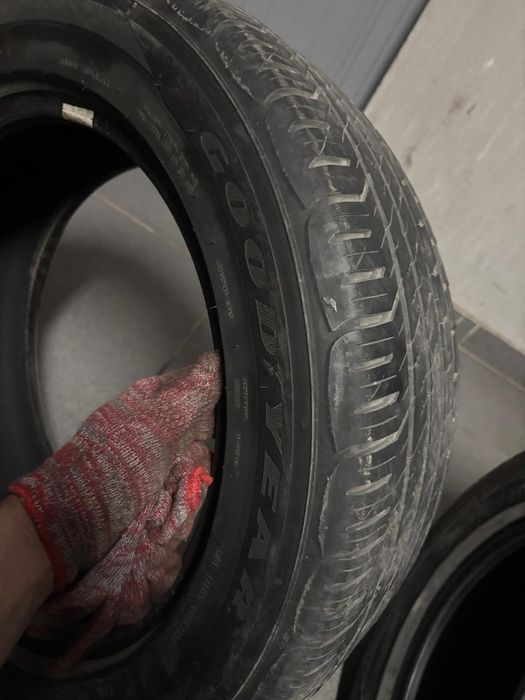 Летний шина карейский