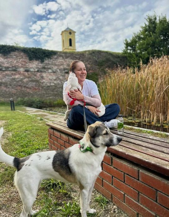 Fotograf Animale de Companie
