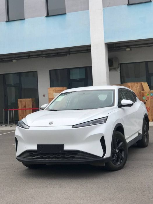 Dongfeng Sky 01