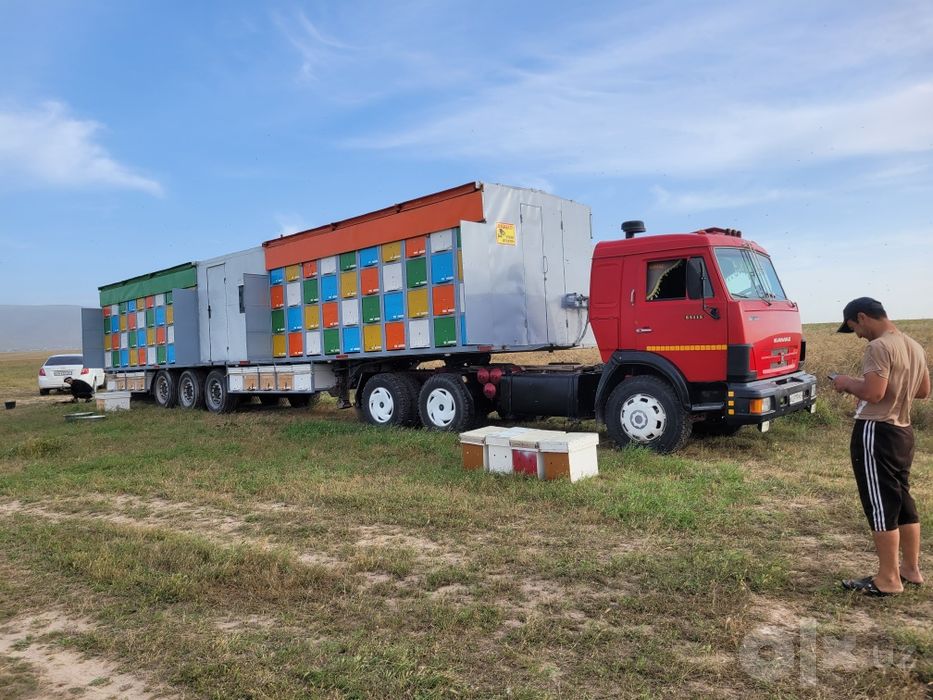 Kamaz Tyagach ...