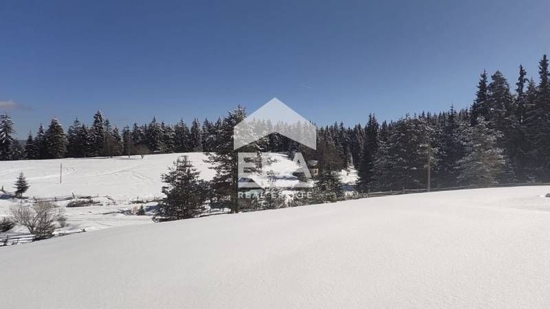 Продава се Парцел в Сърница - 11108 кв.м за 20 €/кв.м - Снимка #4