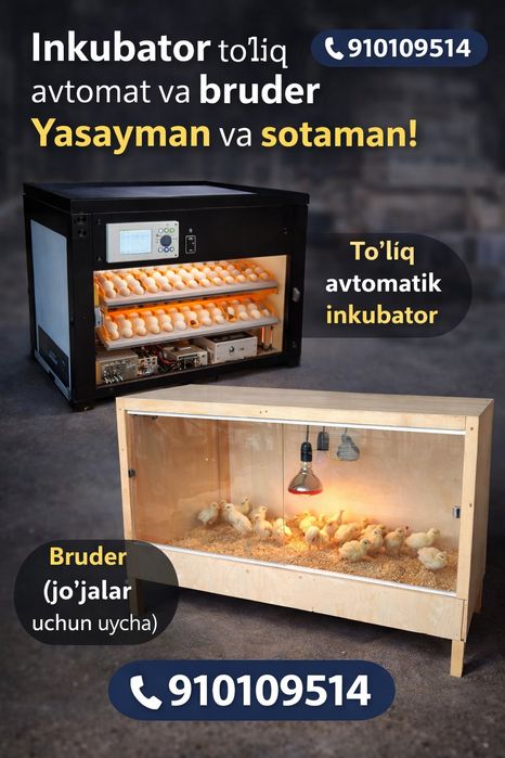 inkubator va bruderlar zakazga yasaladi xammasi orginal va yangi narsa