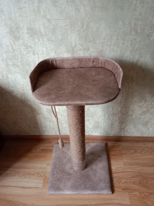 Когтеточка для кошки