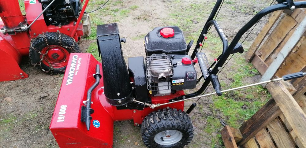 Снегорини внос от Швейцария 30бр