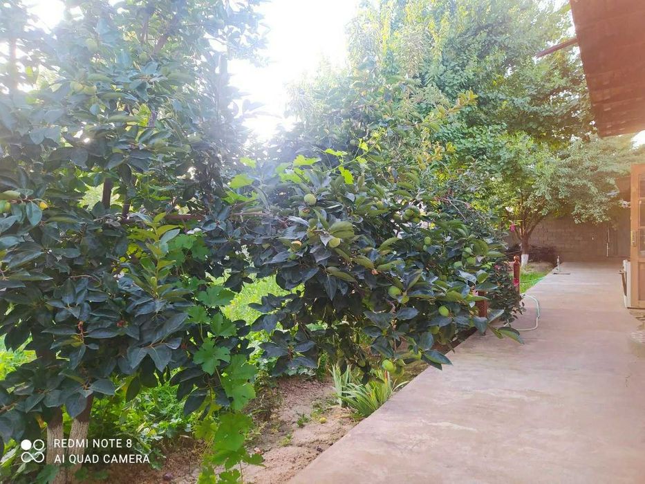 Uy sotiladi srochna !!!