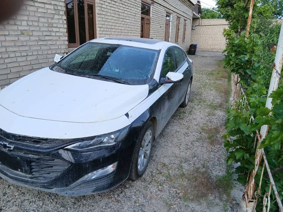 Малибо хл шот спафка