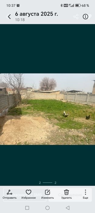 Тошкент туманида ер сотилади.