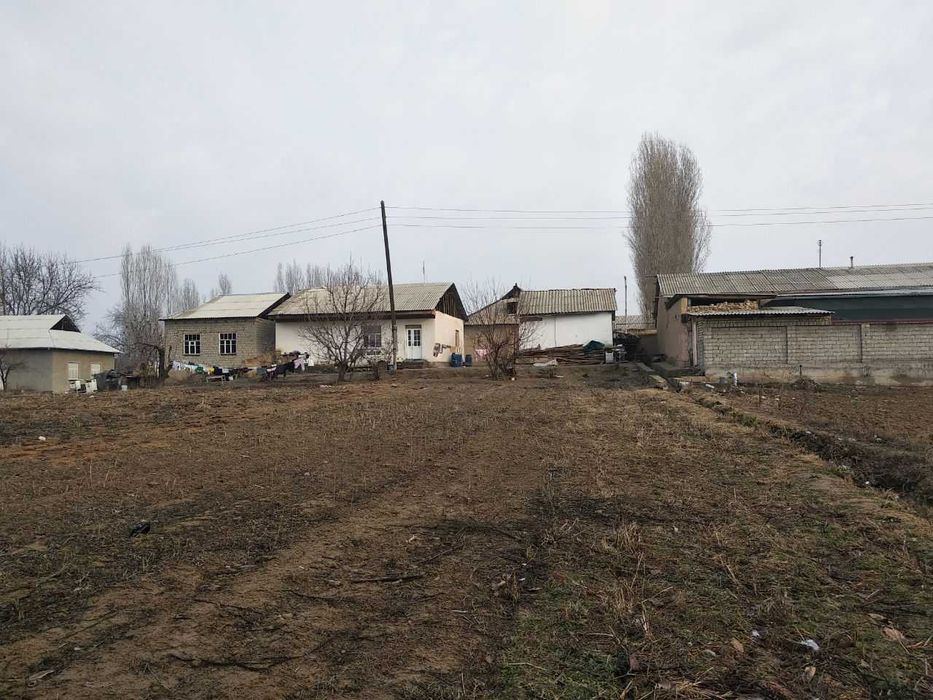 Янгийўлда, арзон ҳовли сотилади. 18 000$. 6 Сотих, 3 хона.