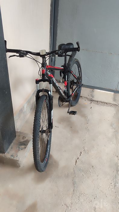 Velosiped kattalar uchun