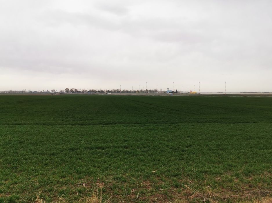 4,5 ha Teren intravilan vis-a-vis de Aeroportul Mihail Kogalniceanu