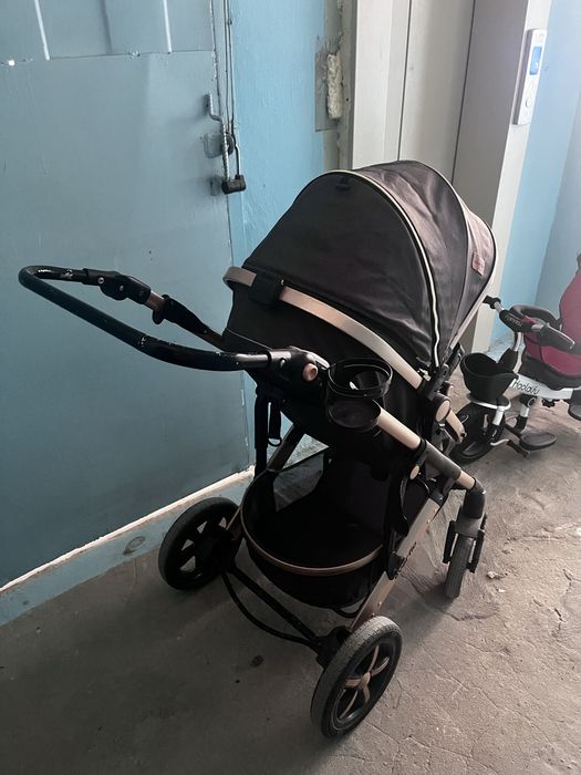 Коляска детская Everflo