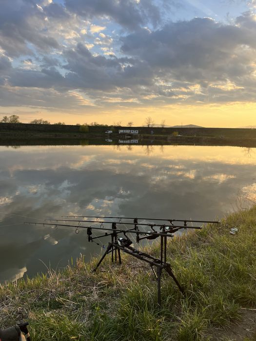 Rod pod pro fl 5 posturi