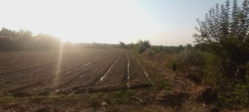 Turar joy Ozod dacha