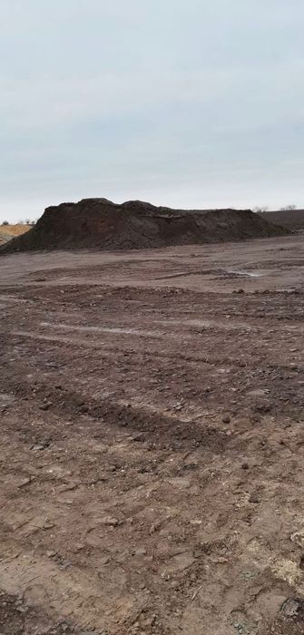 Pamant Negru Vegetal