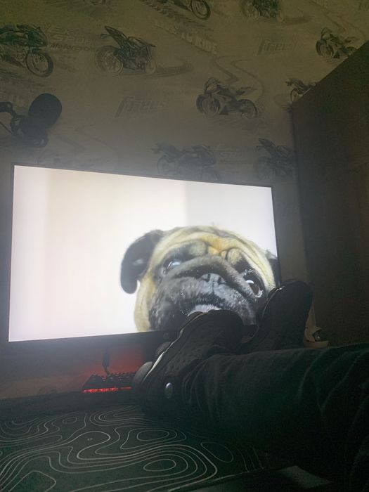 Air jordan 13 black cat