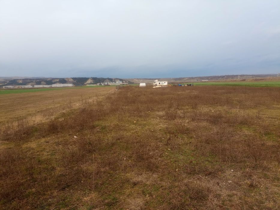 Vand teren intravilan 10.000mp