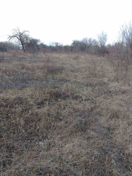 541 - Продава се дворно място в село Пороище!