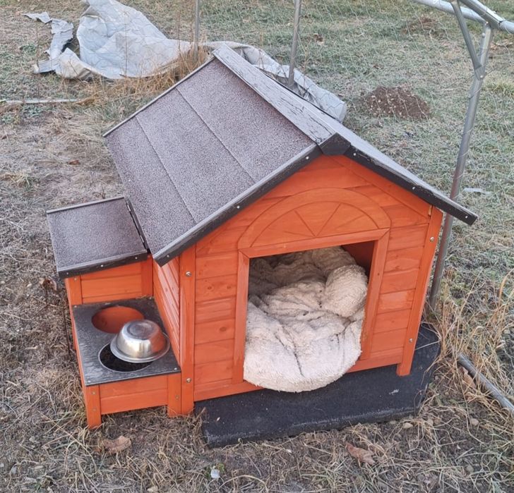 Vând cuşcă pentru câini