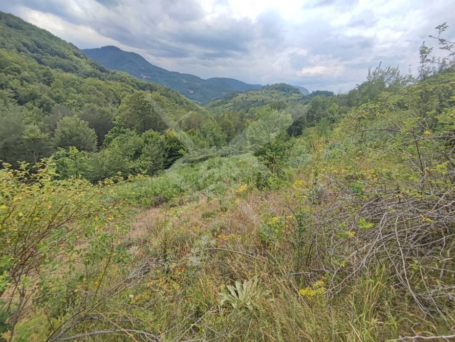 Продава се Парцел в с. Мостово, Област Пловдив - 4621 кв.м за 15 €/кв.м - Снимка #2