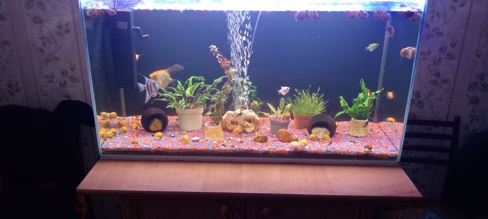 Продам аквариум 200 литров