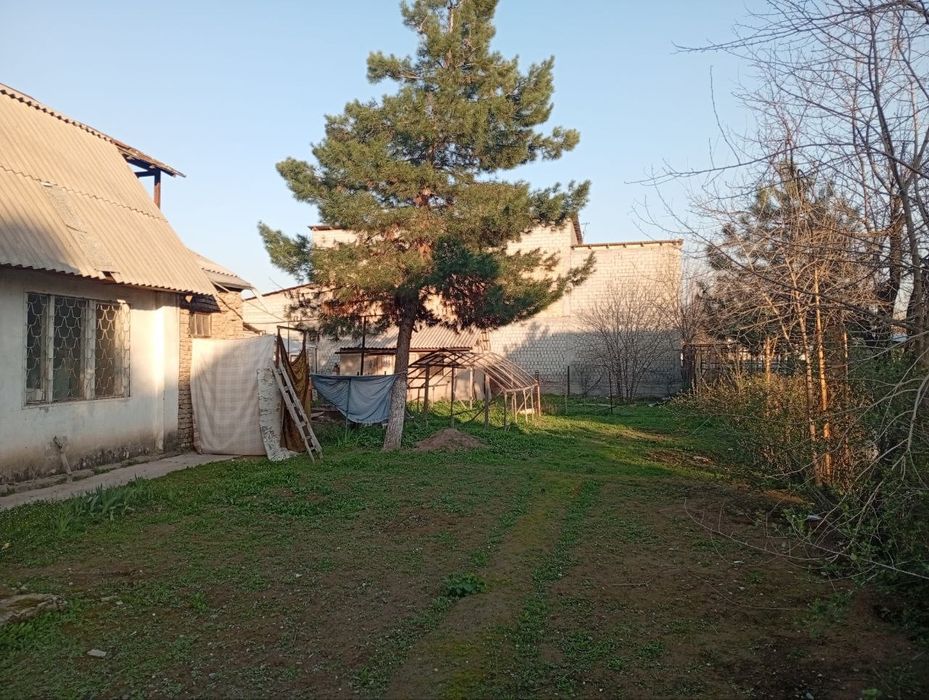 Yangi hayot surum mahalla 6 sutox hovli ijaraga beriladi oilaga kam