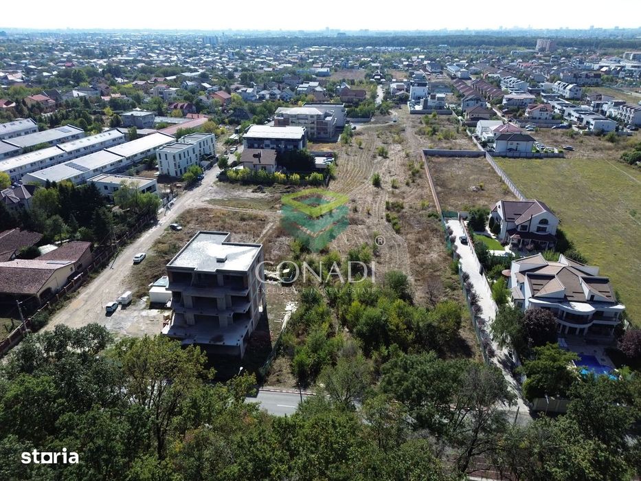 Teren - Voluntari - vis a vis de Padure - 10.000 mp
