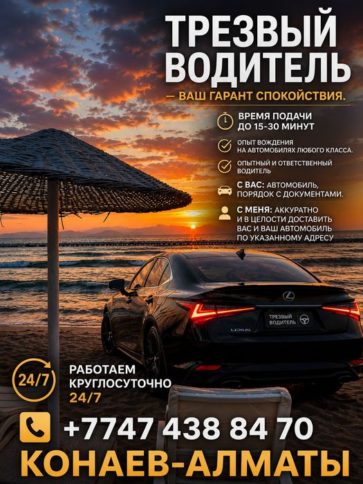 Трезвый водитель