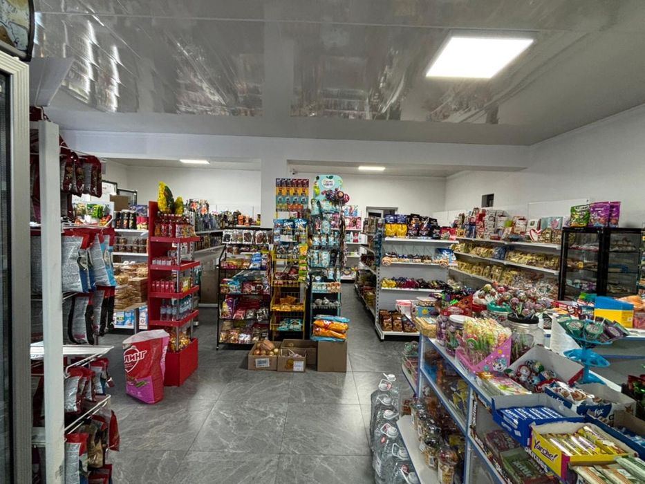 Продаю дом с готовым бизнесом