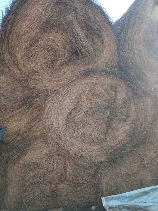 продам сено в руллонах житняк по 10 000 тенге за рулон