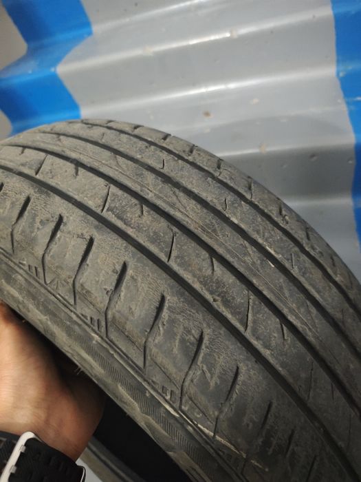 Летние шины Nexen