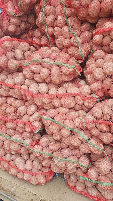 Cartofi Covasna.          .